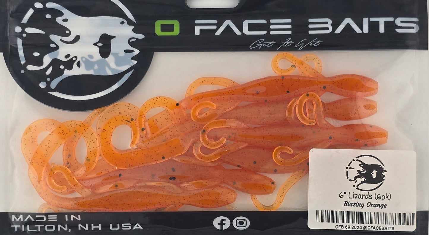 6" Lizards (6pk)