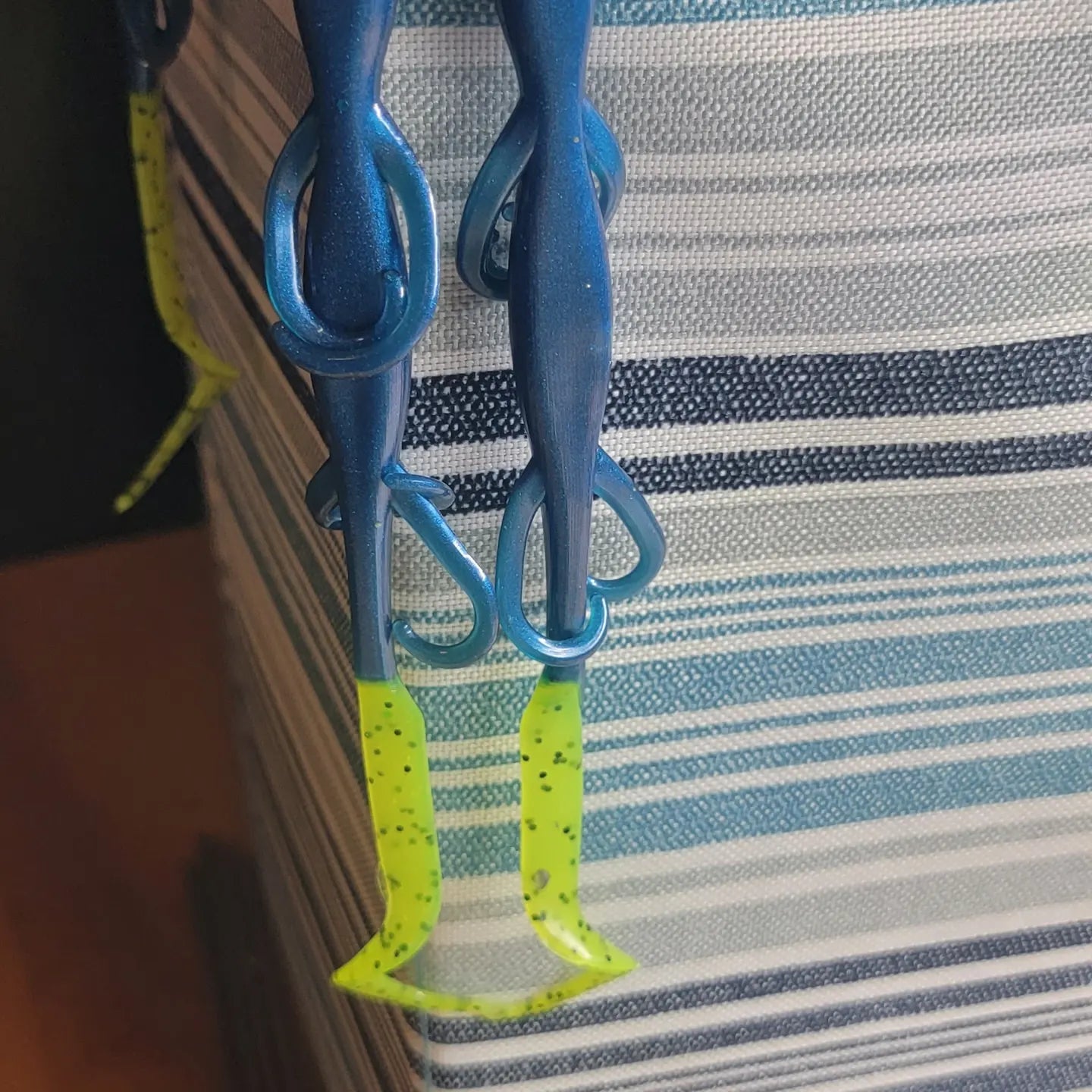6" Lizards (6pk)